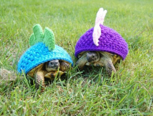 turtle-outfits-crocheted-hats