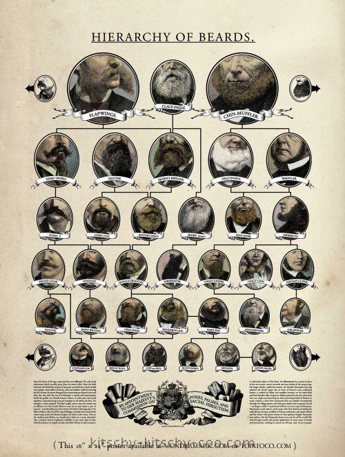 hierarchy of beards poster