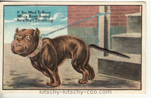 1912 bulldog postcard metal spring tail