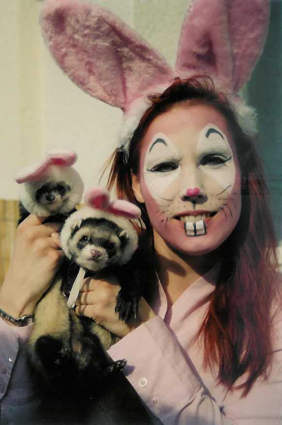 Ferrets As Pets. Easter, pets, photographs